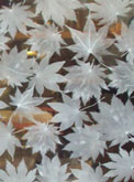 Andhra Pradesh glass film